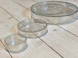 Glass petri dish
